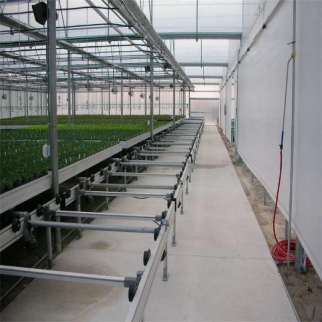 Skyplant Flow Table Tray Seeding Bed Easy Ebb Hydroponic Table